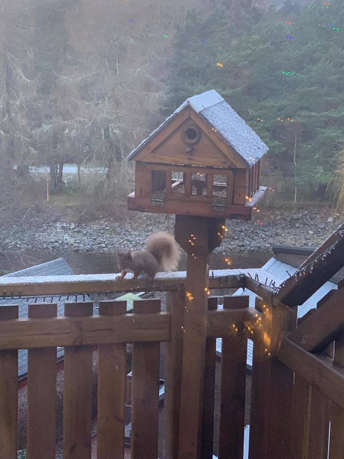 Beautiful 2 Bedroom Lodge With Stunning Views Blair Atholl Eksteriør billede